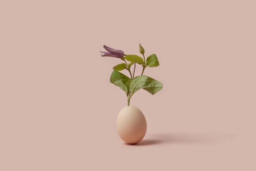 Brown egg with small green and purple plant growing out of it